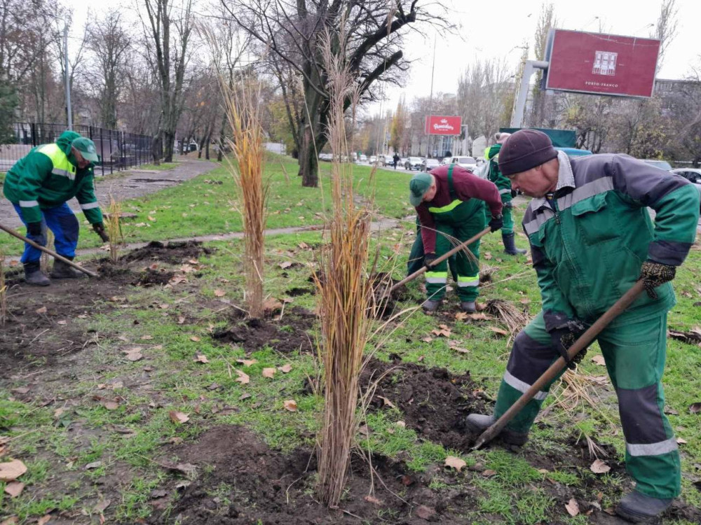 Коммунальное предприятие 'Мискзелентрест' продолжает работы по озеленению Одессы, высаживая новые растения в парках.