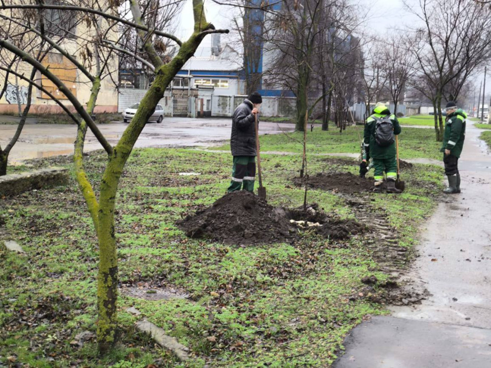 В 2026 году в Одессе начинается новый этап озеленения: высажено более 120 молодых деревьев.