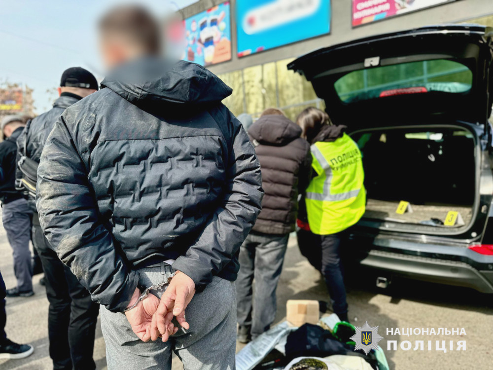 3101 image for slide