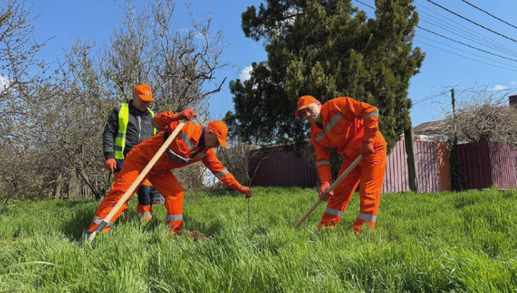 3345 image for slide