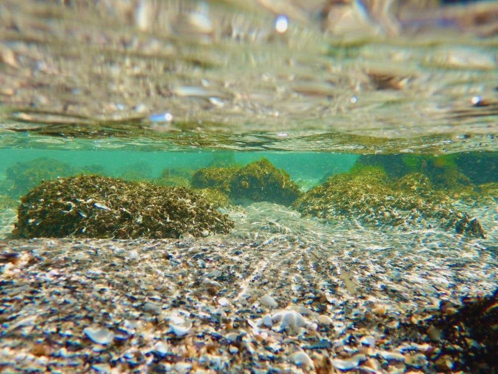 3461 image for slide