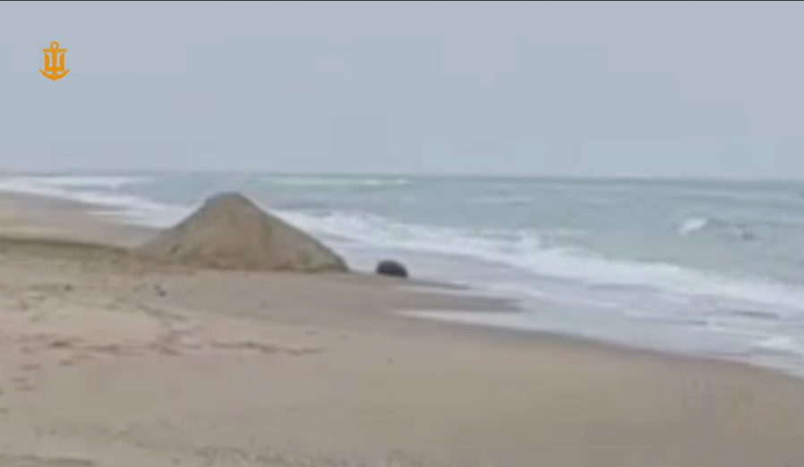 3991 image for slide