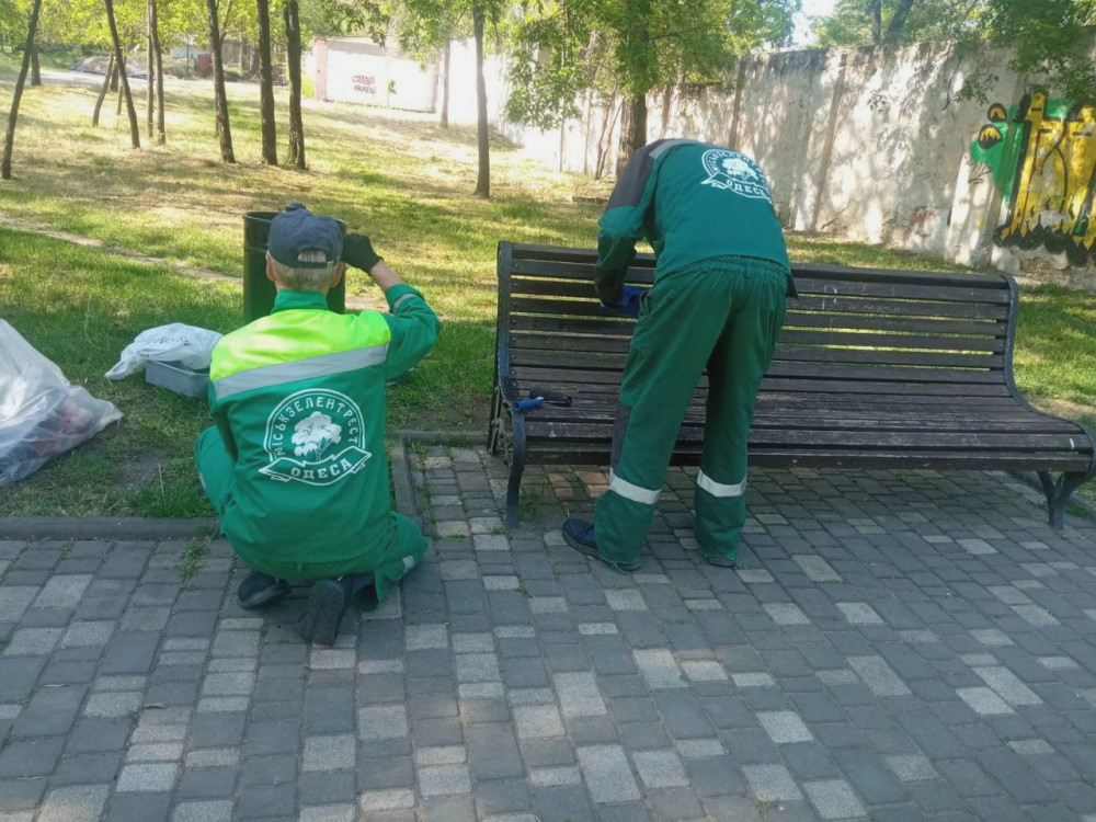 5795 image for slide