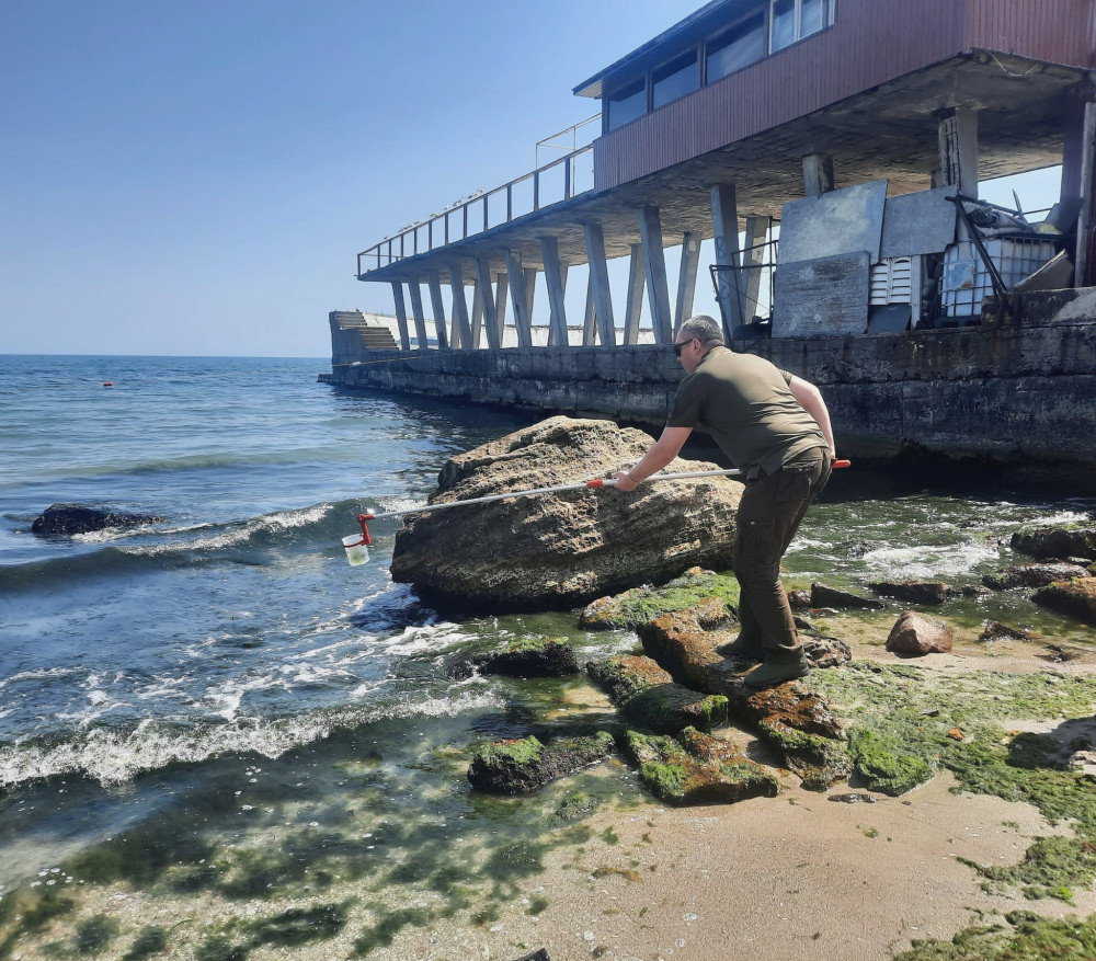 5901 image for slide