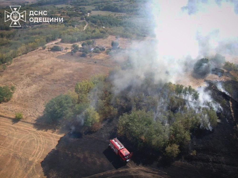 6536 image for slide