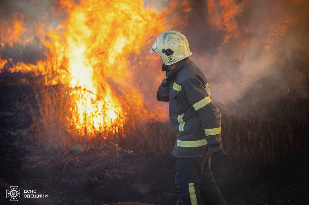 6537 image for slide