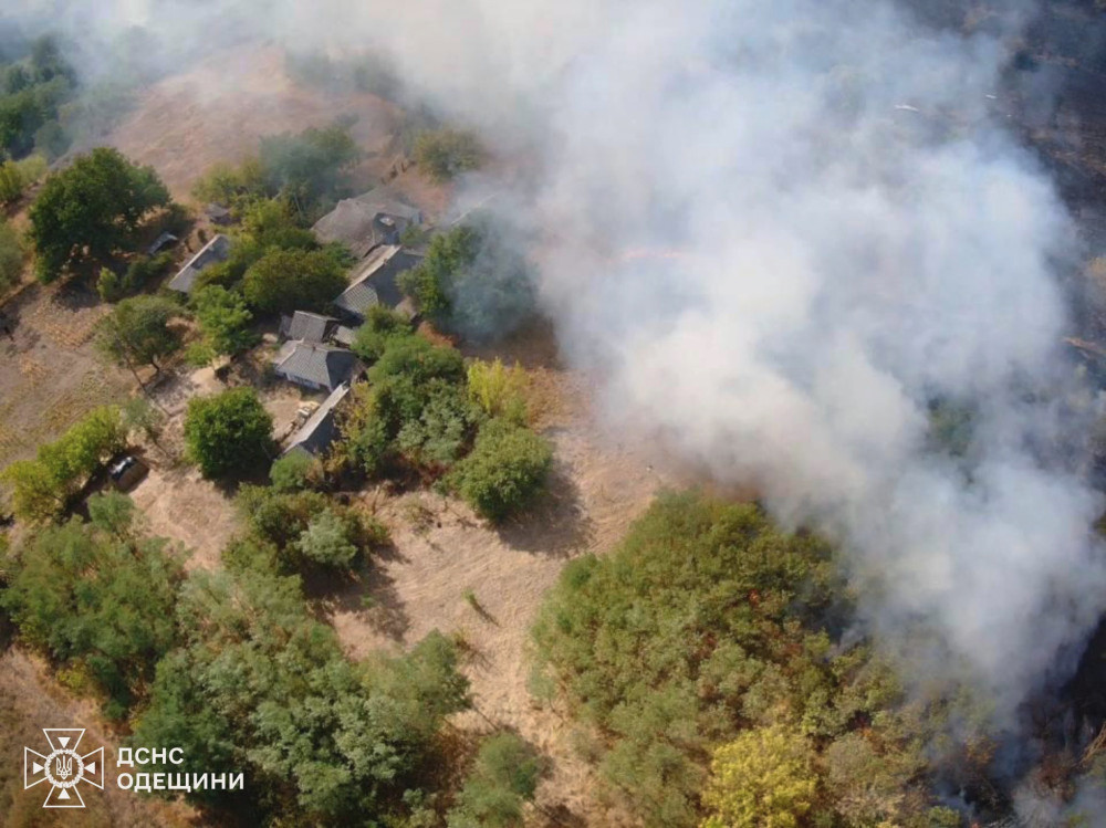 6539 image for slide