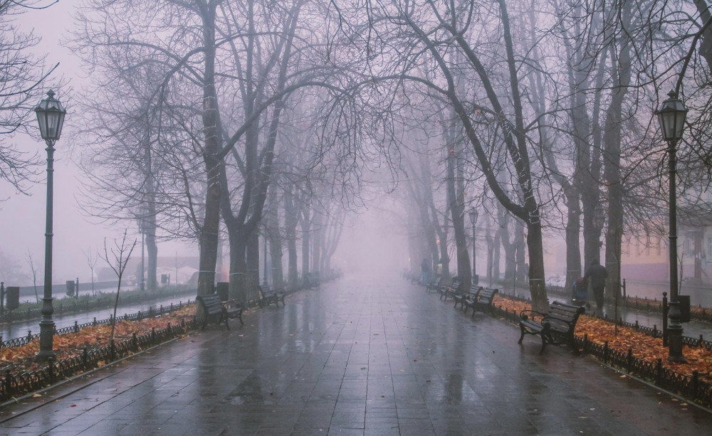 8133 image for slide