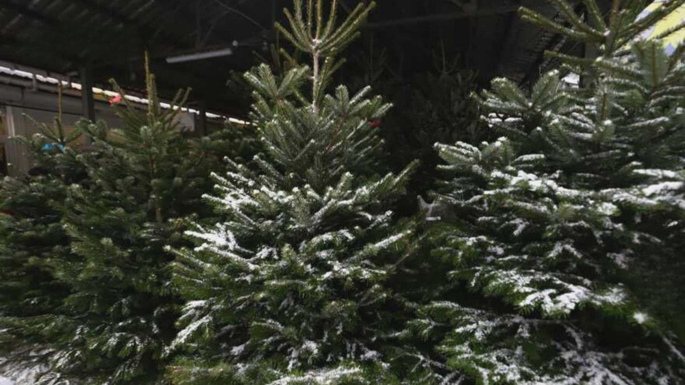 8134 image for slide