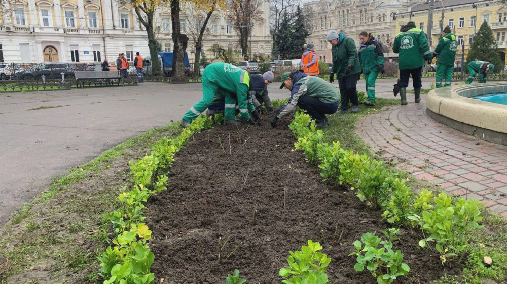 8186 image for slide