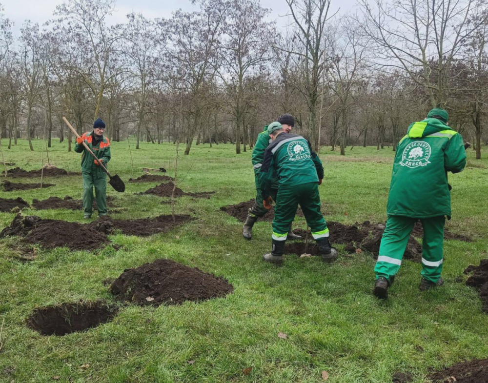 8378 image for slide