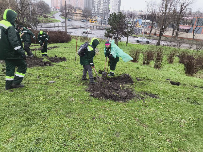 8379 image for slide