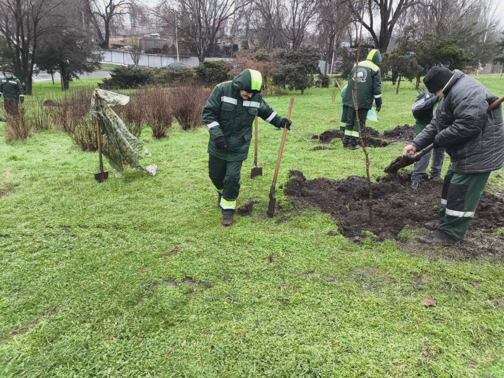 8380 image for slide