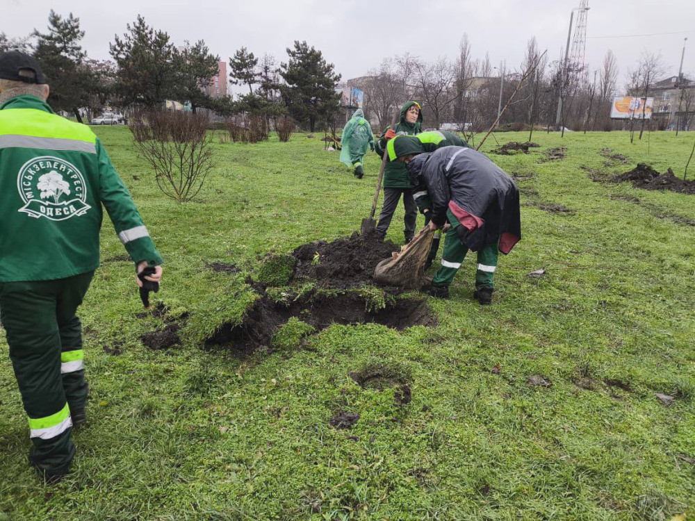 8382 image for slide