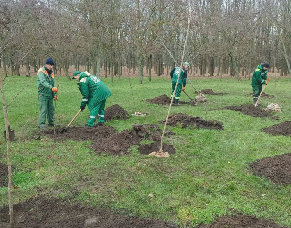 8383 image for slide